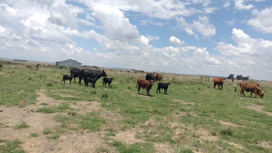 Commercial Property for Sale in Dewetsdorp Rural Free State